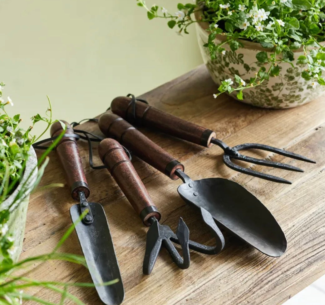 Garden Trowel