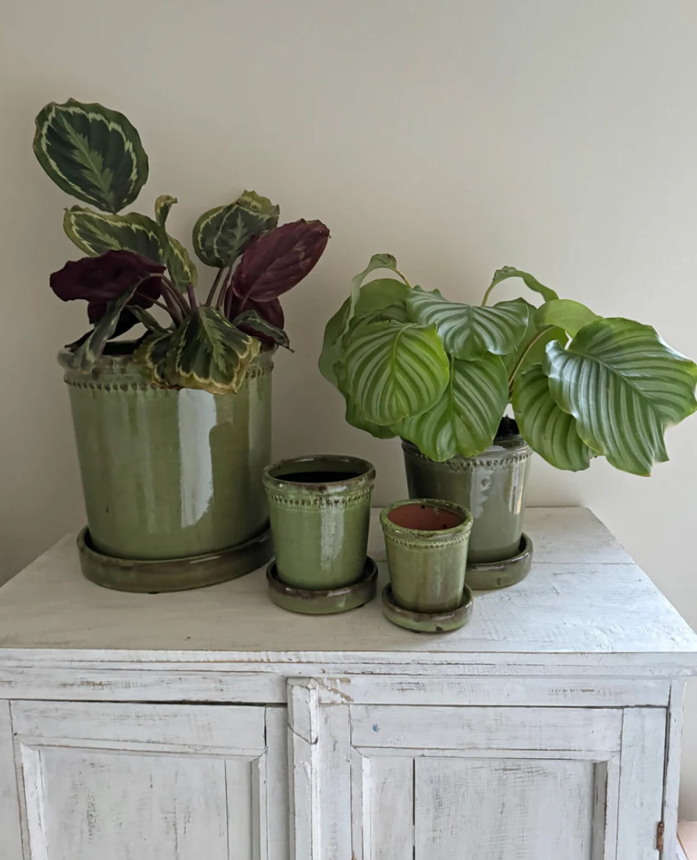Glazed Green Flower Pot with Saucer