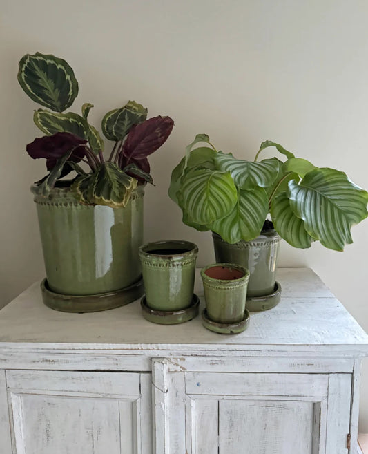 Glazed Green Flower Pot with Saucer