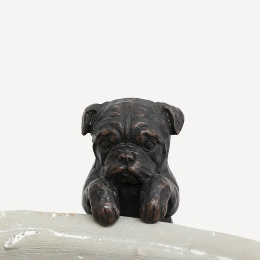 Hanging French Bulldog
