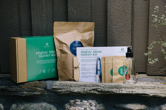 Mighty Minis Microgreens Starter Kits