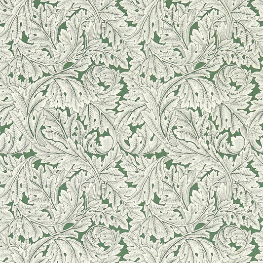 Alonso Sage Wallpaper