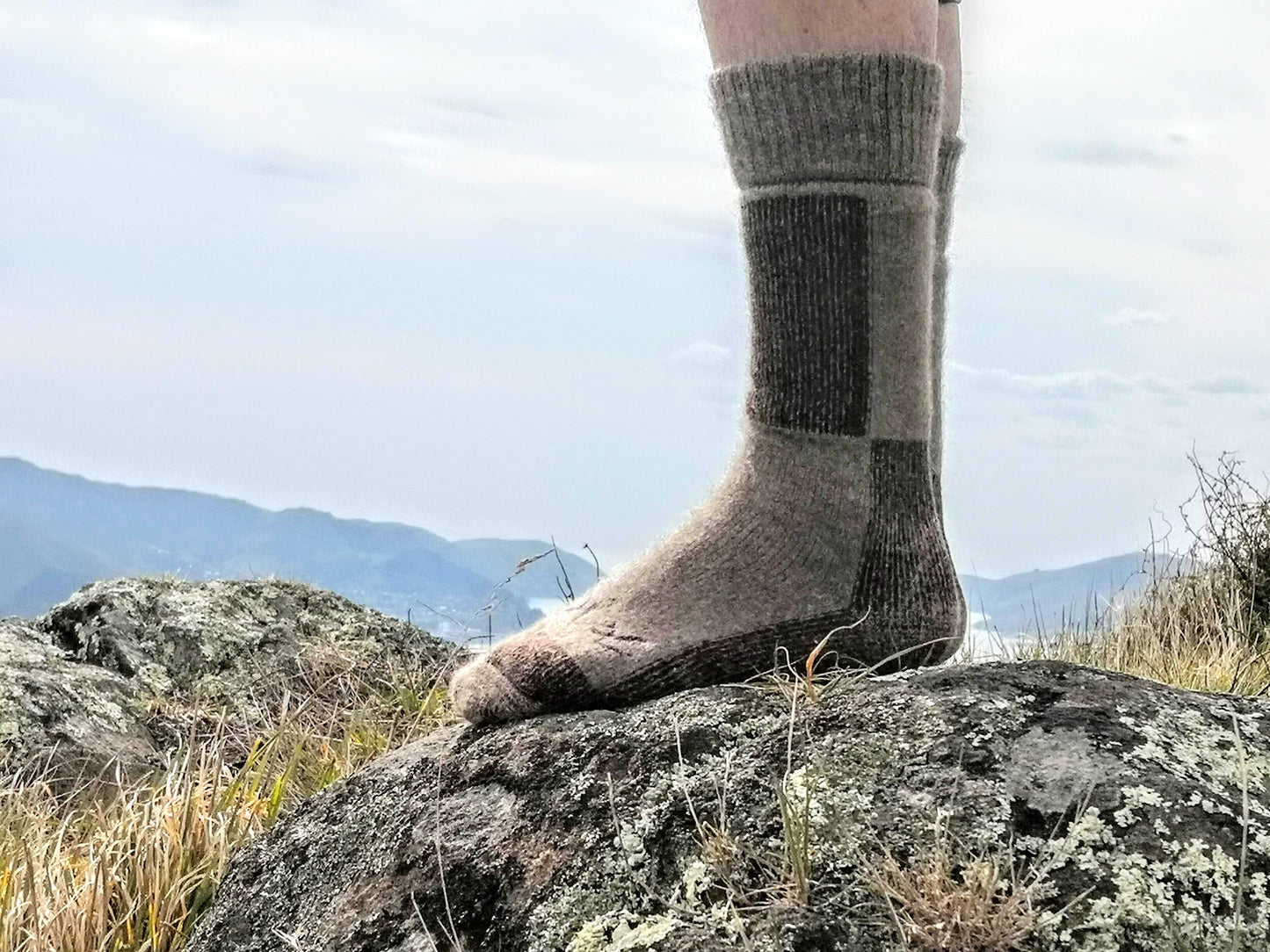 Wyld Boot Sock Possum
