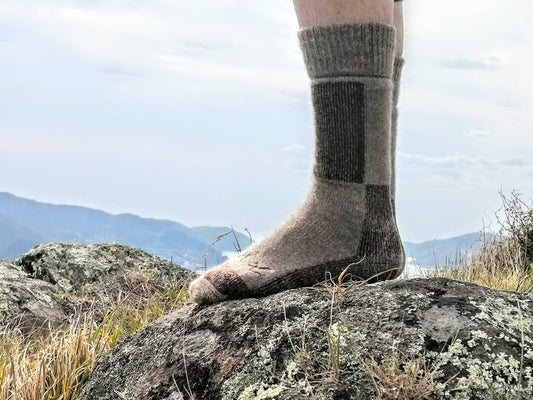 Wyld Boot Sock Possum