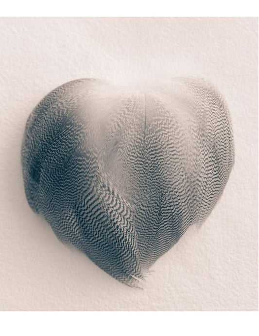 Feather Heart