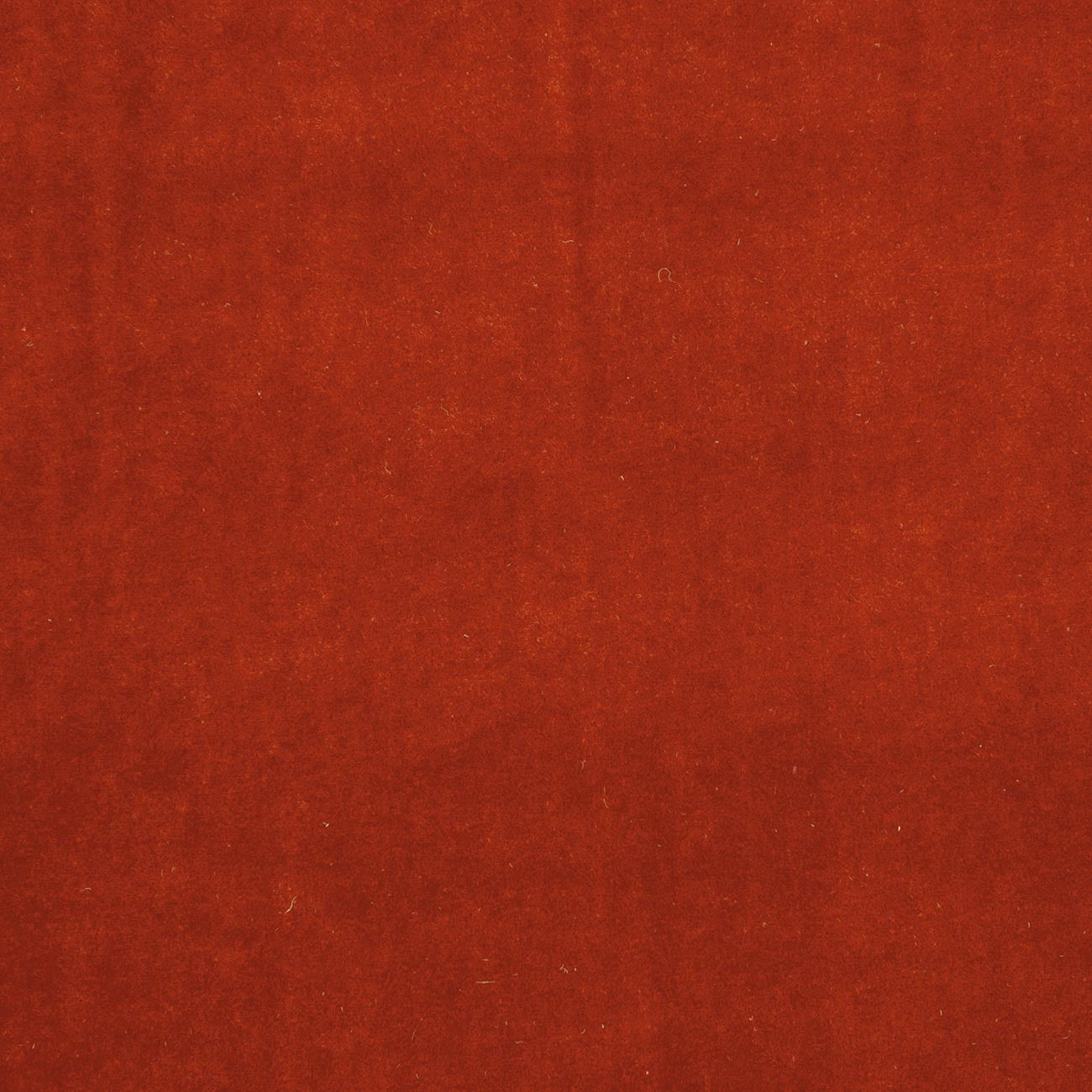 Velluto Flamingo Fabric