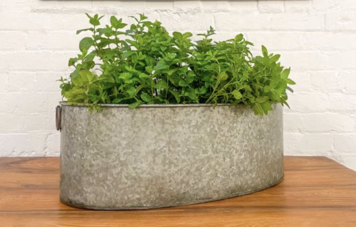 Oval Iron Tub