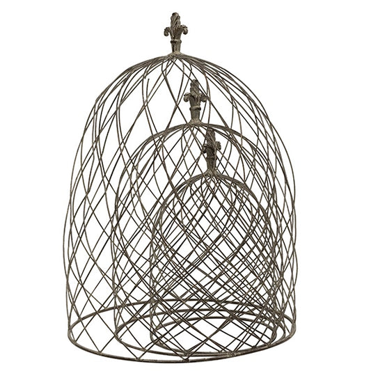 Cloche Dome Large