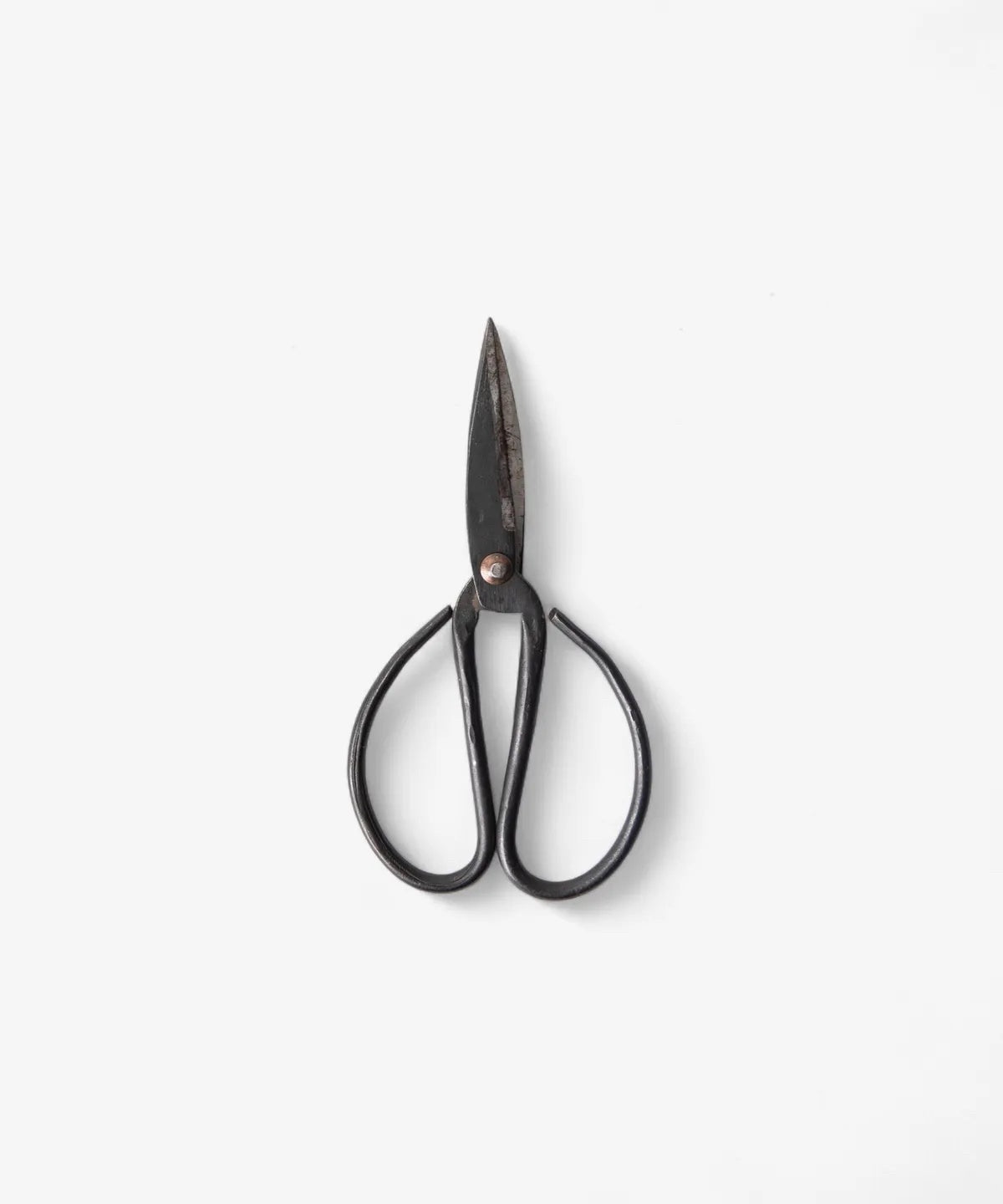 Black Herb Scissors