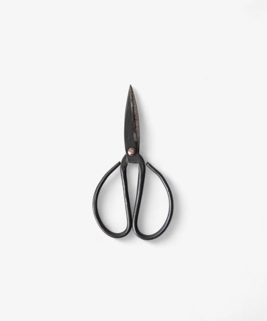 Black Herb Scissors