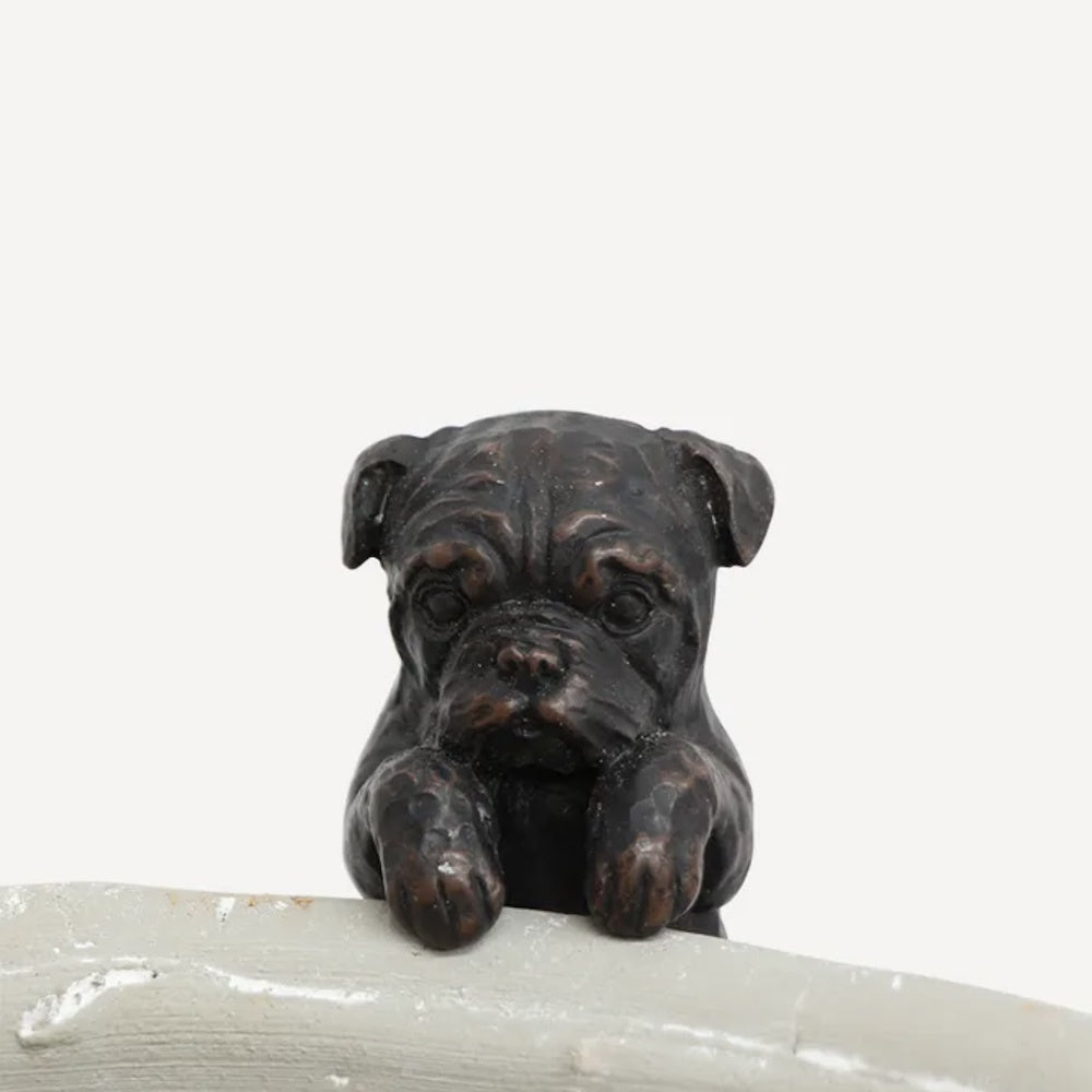 Hanging French Bulldog