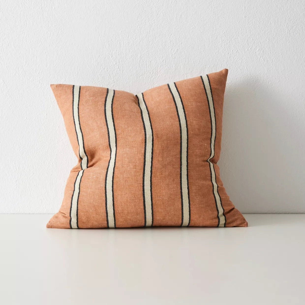 Vinnie Terracotta Cushion